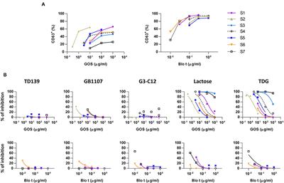 An Evaluation of the Mechanisms of Galacto-Oligosaccharide (GOS)-Induced IgE Cross-Linking on Basophils in GOS Allergy